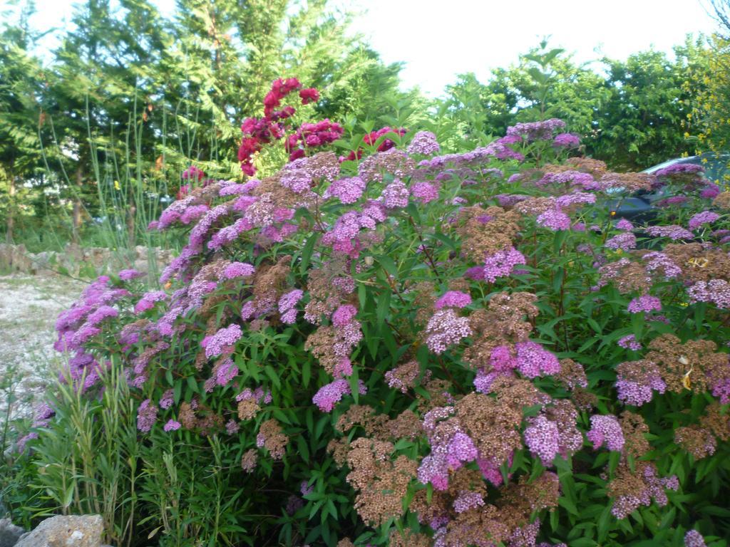 Tadinum Romana 구아르도타디노 외부 사진